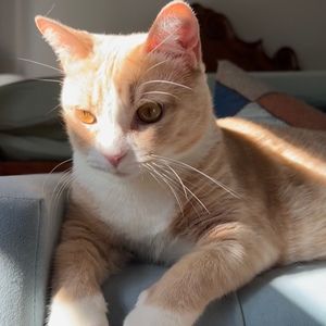 Meet your Posher, Rebeccah